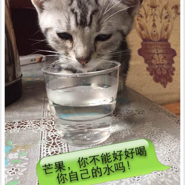 塞尔维亚虚拟币平台身份认证资料